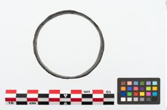 Foto von Eisenbandring (NHMW-PRAE-025171)